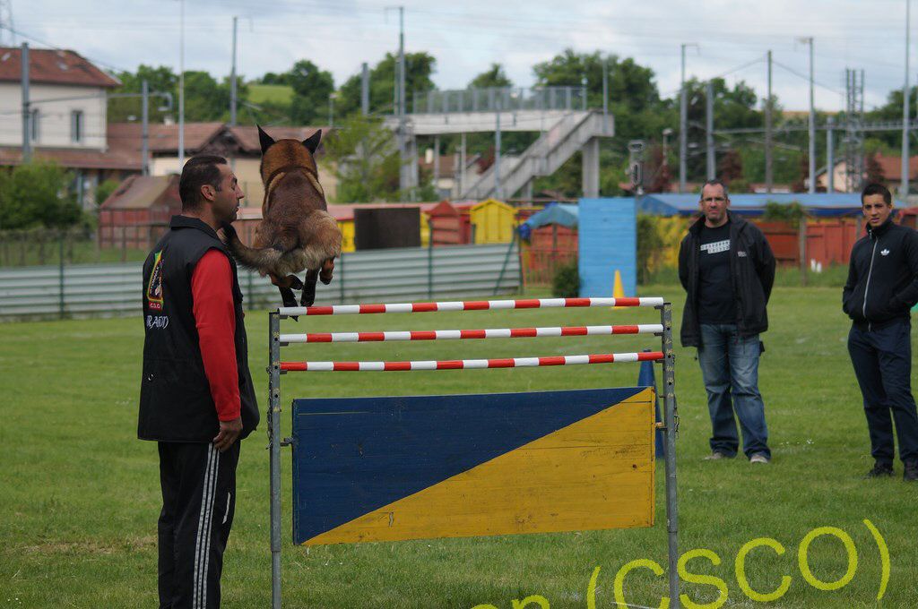 2013 3e selectif haie1.jpg